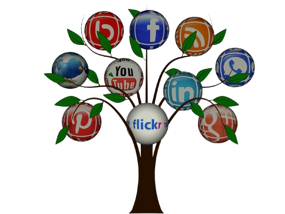 SMO Services